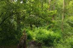 IMG-20250602-WA0022