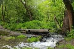 IMG-20250602-WA0024