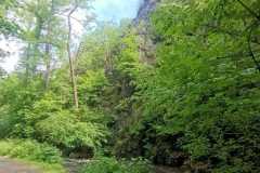 IMG-20250602-WA0025