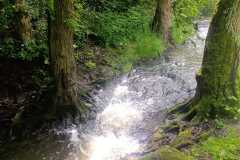 IMG-20250602-WA0027