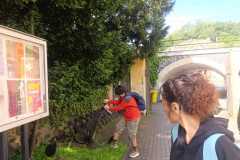 IMG-20250602-WA0043